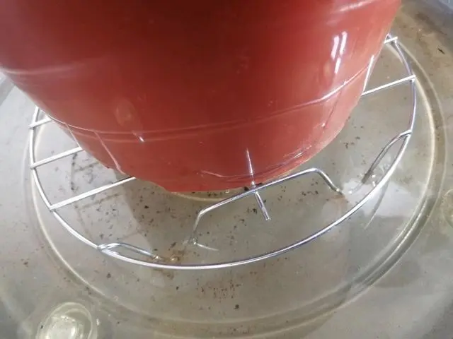 透气花盆大花蕙兰花盆_致富经花盆里种出大苹果_花盆里的致富经