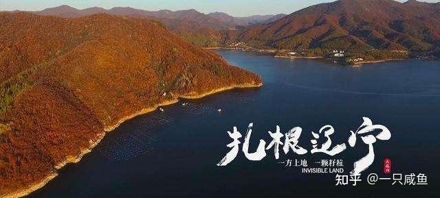 种植小米辣椒赚钱吗_小米辣种植致富_小米辣种植利润