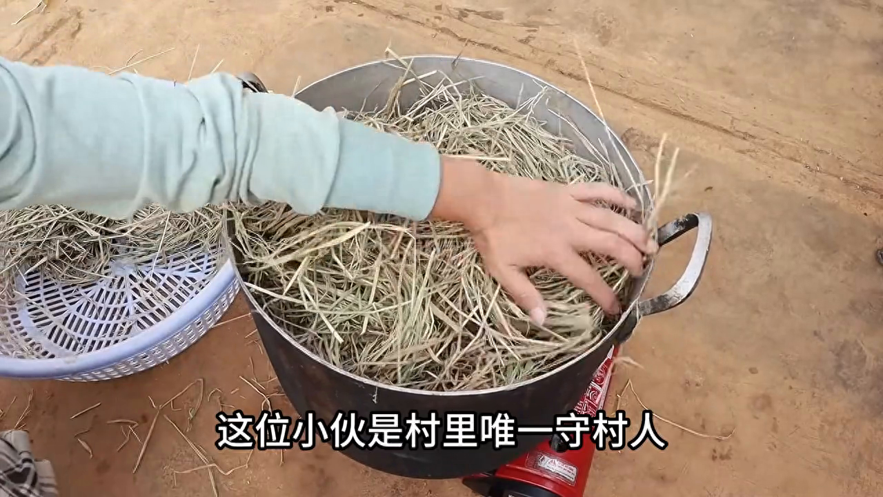小伙用几个塑料瓶种植个大饱满新鲜蘑菇，真是高手隐藏在民间
