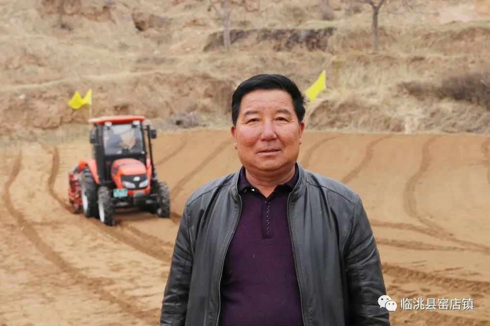 党参种植致富新路_党参种植技术和收益_种植党参的有利条件