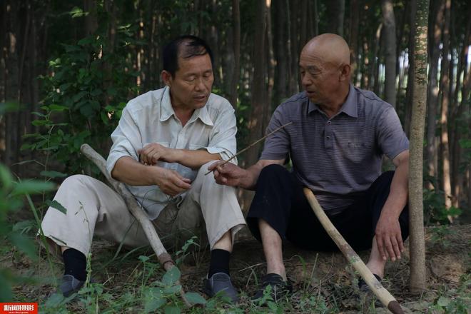 养殖金蝉赚钱吗_致富经 金蝉养殖_养殖金蝉的前景如何