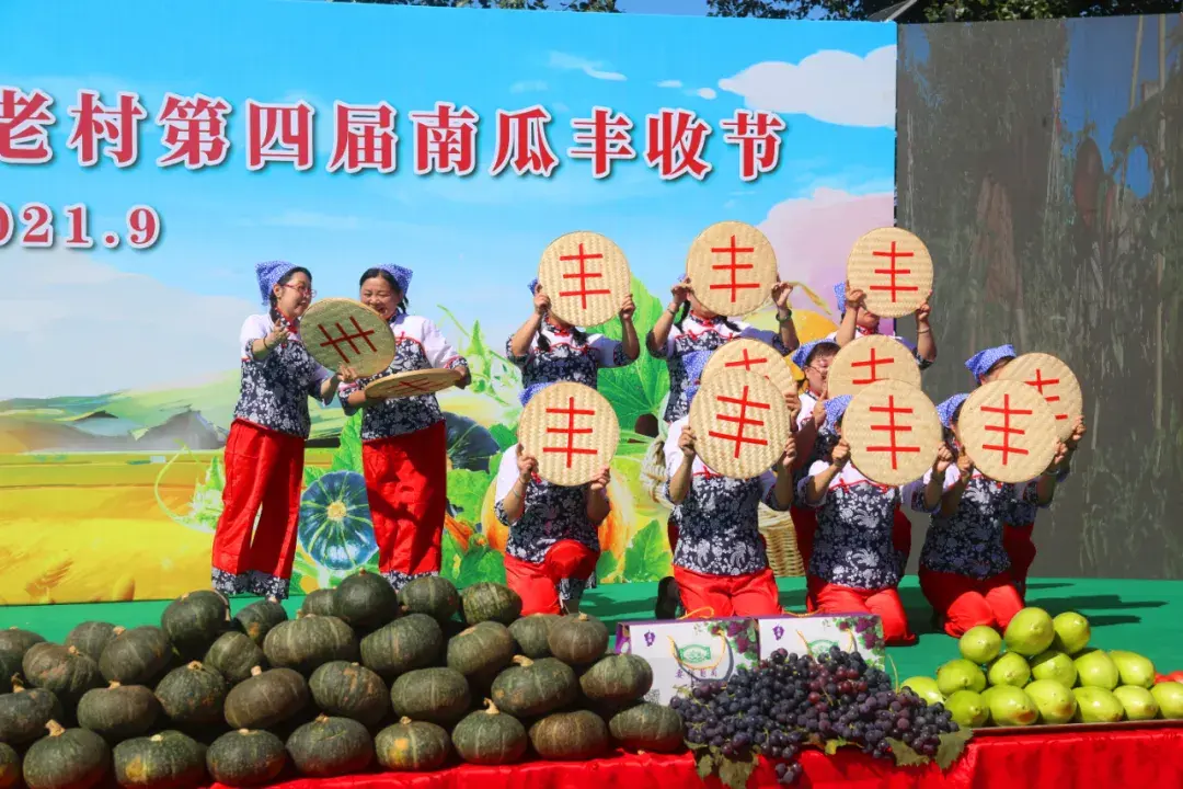秋季南瓜的种植技术_南瓜秋季种植技术_南瓜秋季种植技术视频