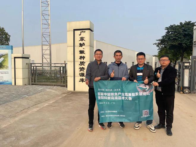 视频养殖教程鳜鱼技术大全_鳜鱼养殖技术视频教程_鳜鱼的养殖技术和视频