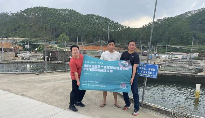 鳜鱼的养殖技术和视频_视频养殖教程鳜鱼技术大全_鳜鱼养殖技术视频教程
