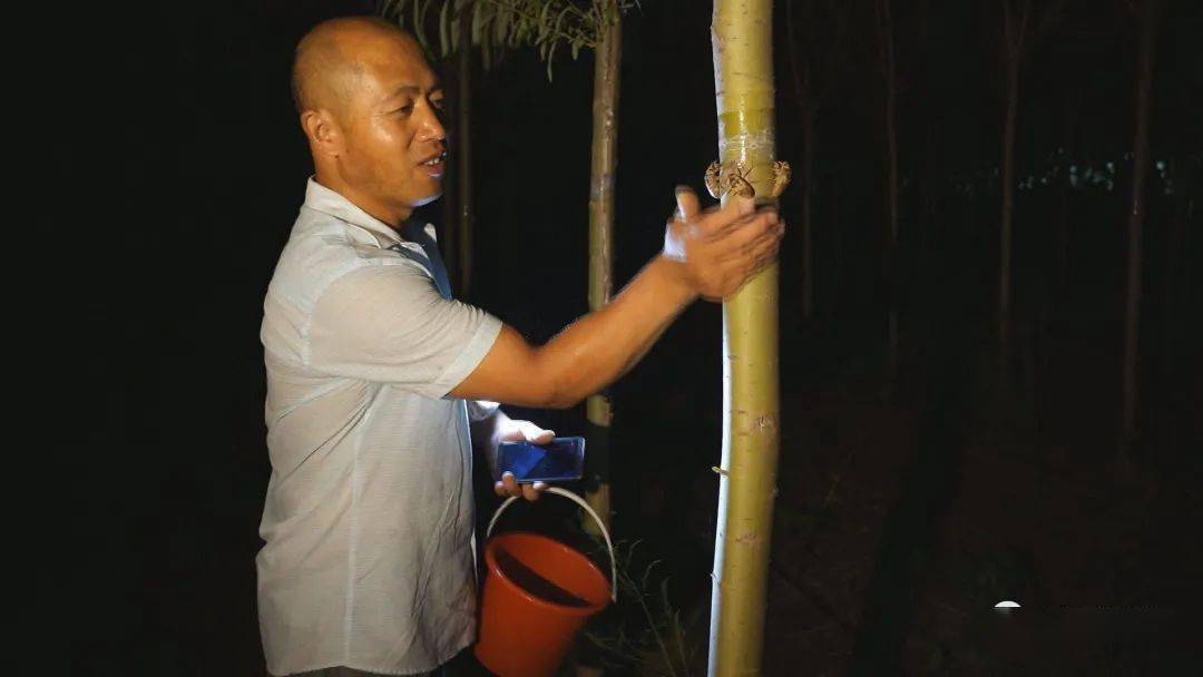 养殖金蝉投资多少钱利润多少_致富经 金蝉养殖_养殖金蝉的前景如何
