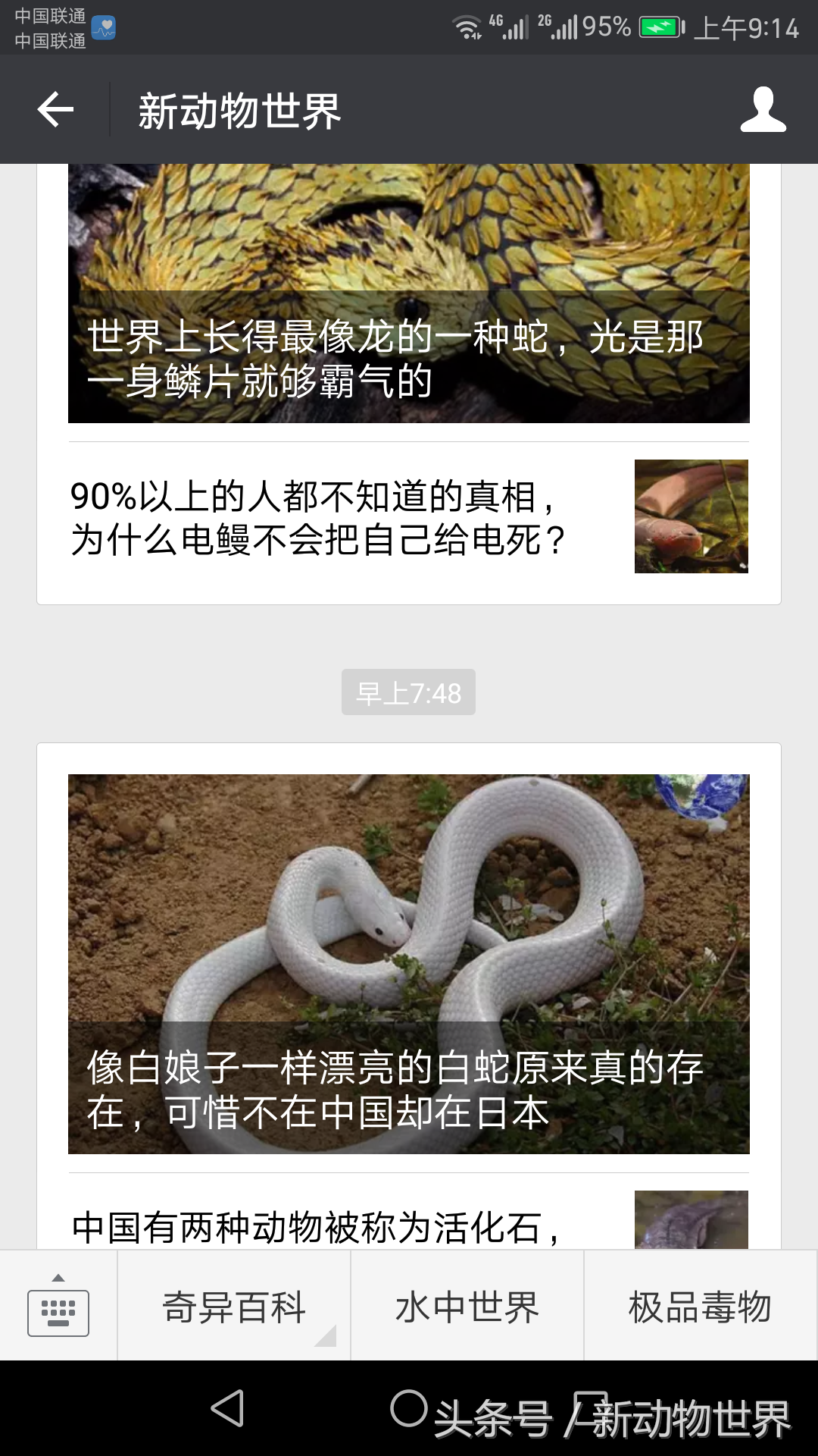 眼镜蛇幼蛇的养殖技术_眼镜蛇幼蛇的养殖技术_眼镜蛇幼蛇的养殖技术