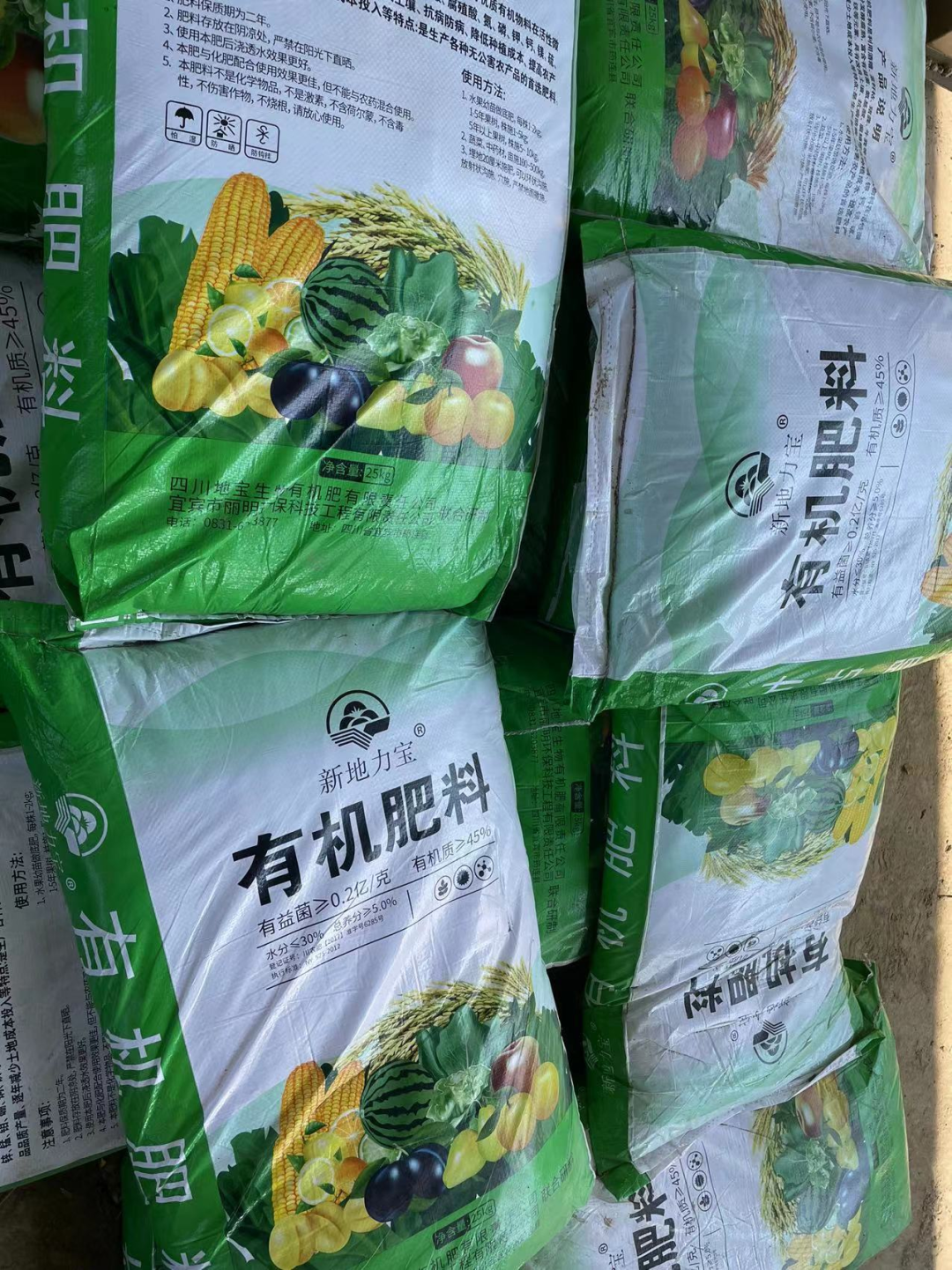 致富经种蔬菜种出千万财富_致富经蔬菜种植视频_种植蔬莱致富