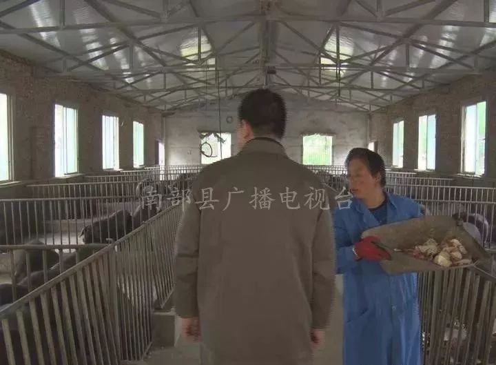 养殖带领村民致富_农民致富养殖业_致富养殖村民带领乡村振兴