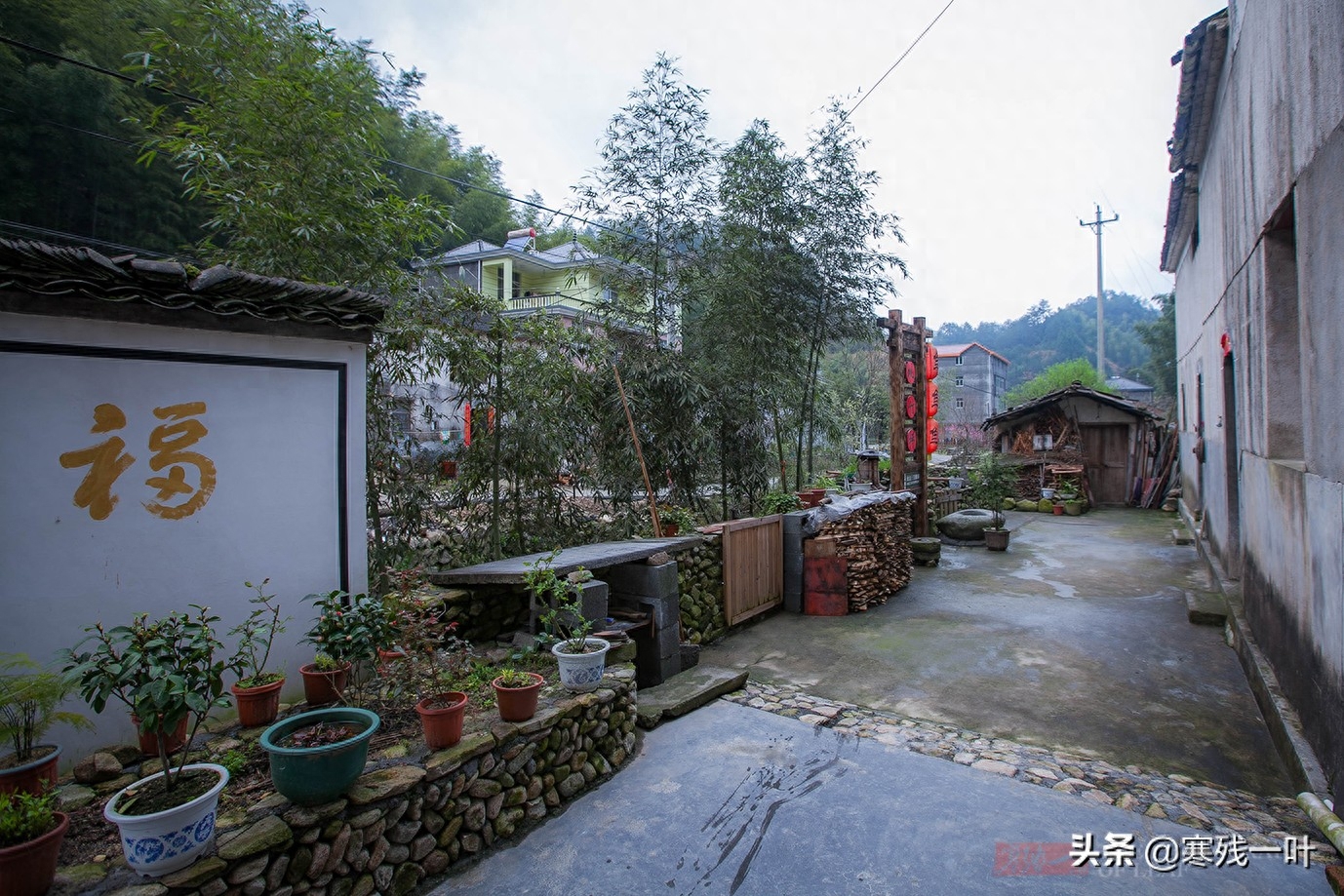 浙江27户人家的小山村，传承600年古法养鱼，将草鱼养到100元一斤