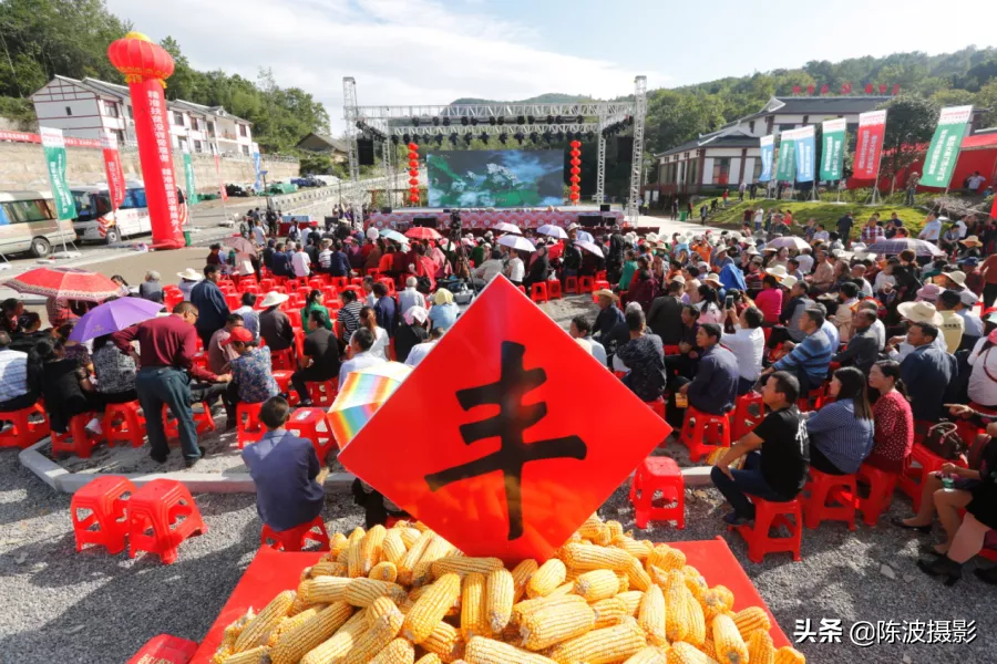致富经陈波联系方式_致富经联系方式_致富经电话