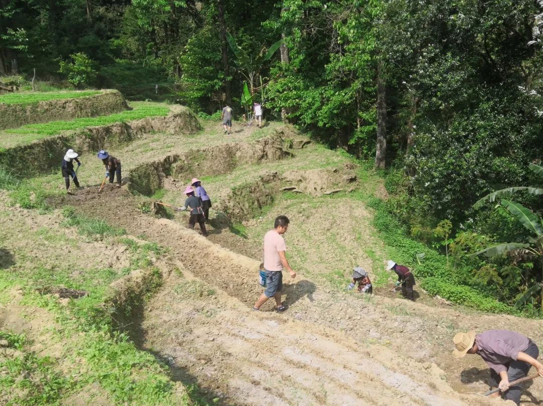 致富种植旱地视频_旱地种植致富_农村旱地种植什么最赚钱