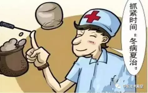 淡竹叶怎么种_盆栽淡竹叶_淡竹叶种植技术