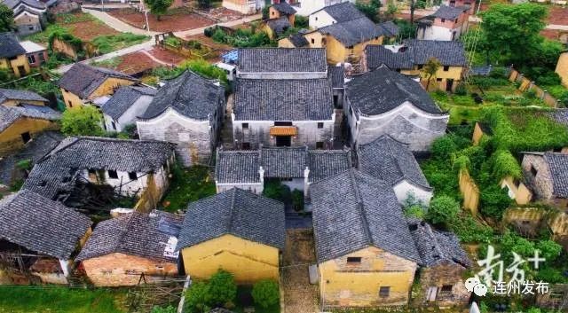 养殖田鸡赚钱吗_致富养殖田养鸡地方在哪里_田地养鸡养殖致富
