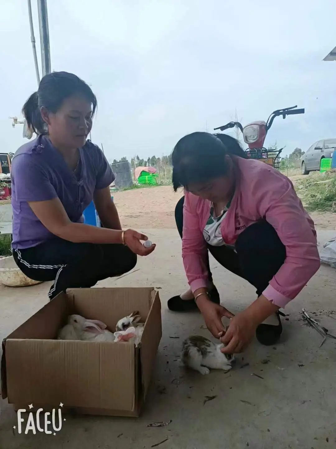 徐州养殖致富项目_江苏徐州养殖骗局_江苏徐州养殖基地