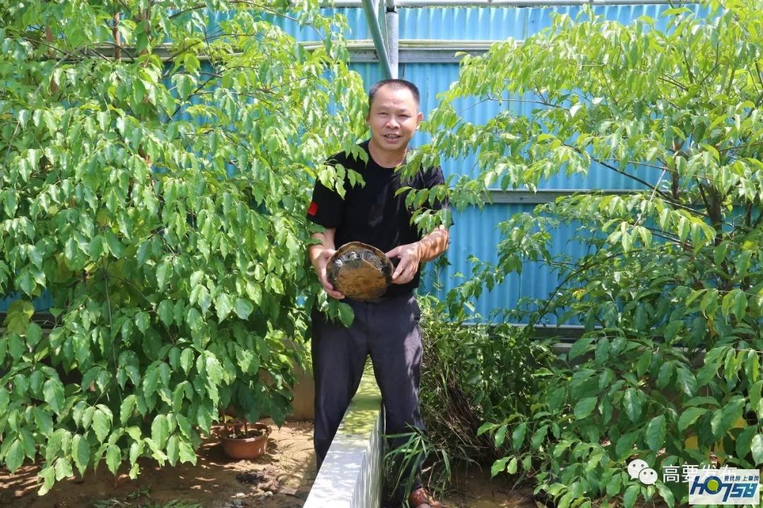 致富经养甲鱼_cctv7致富经生态养鳖_致富经养鱼视频大全集