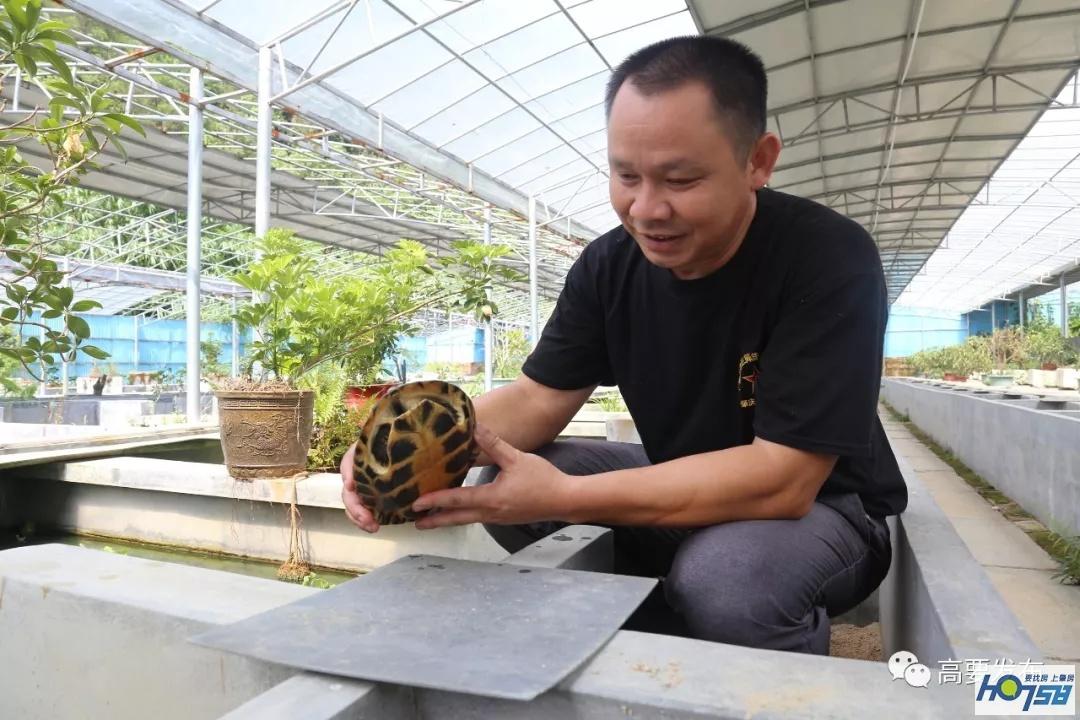 致富经养鱼视频大全集_cctv7致富经生态养鳖_致富经养甲鱼