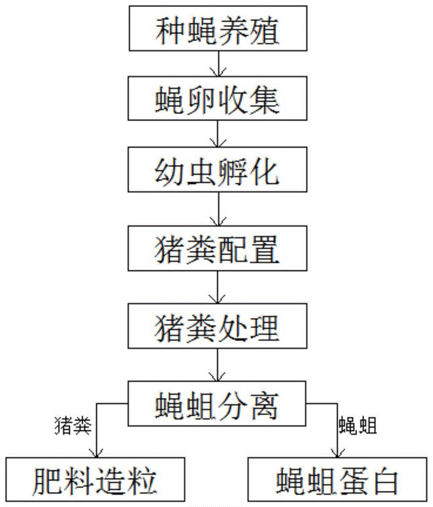 一种利用工程蝇蛆工厂化处理猪粪、生产蝇蛆有机肥的方法与流程