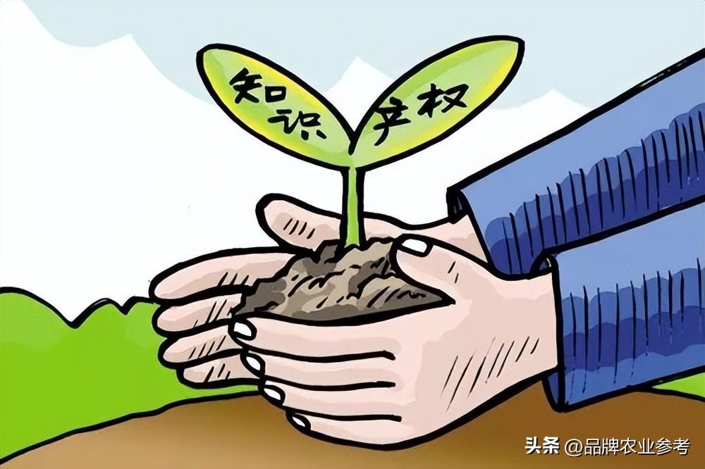 海南乐东首富2020_乐东县富豪_致富经曾南春海南乐东