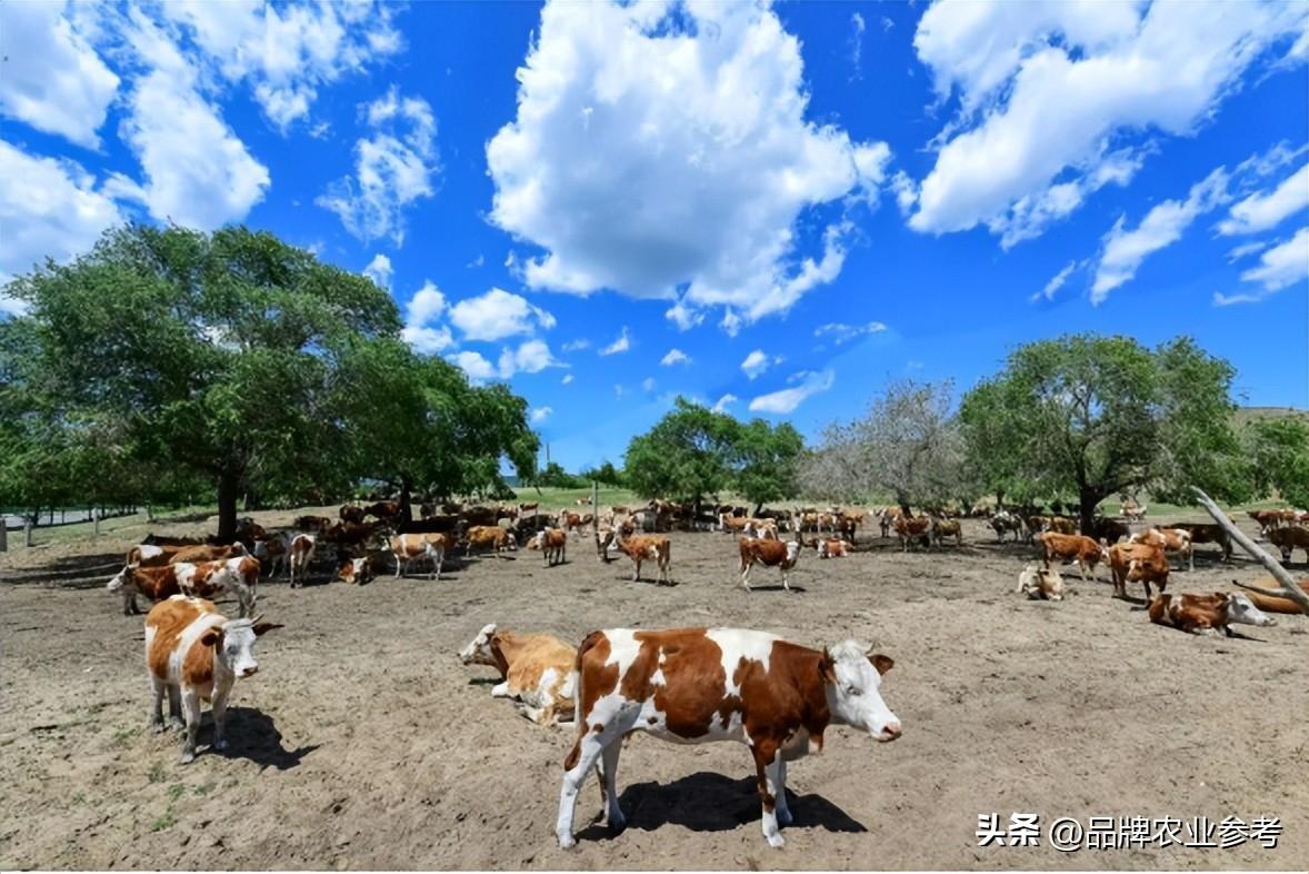 海南乐东首富2020_乐东县富豪_致富经曾南春海南乐东
