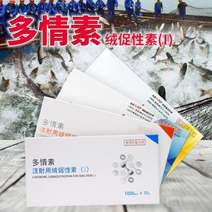 四大家鱼的养殖技术_育虫养鱼技术_养殖鱼技术流成