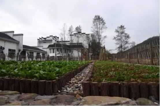 山羊养殖致富案例_致富经山羊圈养全视频_致富经山羊养殖技术视频