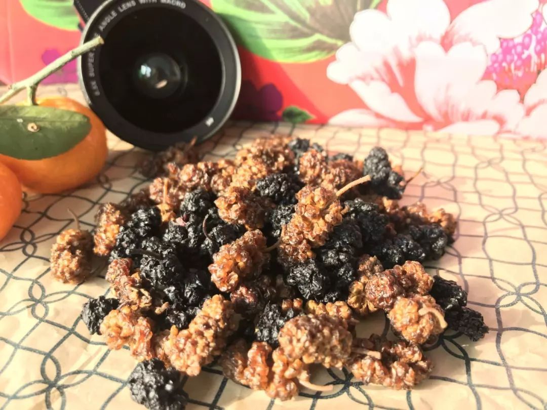 种植桑叶致富创业_种桑叶菜赚钱吗_致富种植桑叶创业项目