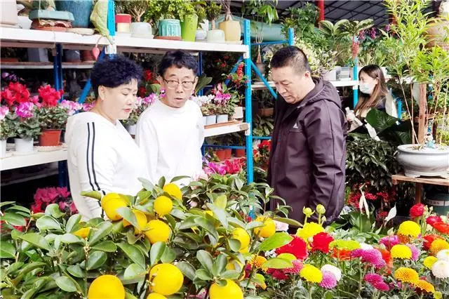 花卉致富采访种植方案_采访种植花卉致富_花卉市场采访