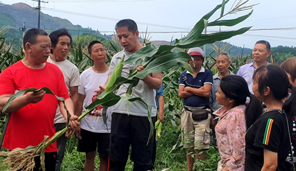 湖南邵东：技术培训班为残疾人传授“致富经”