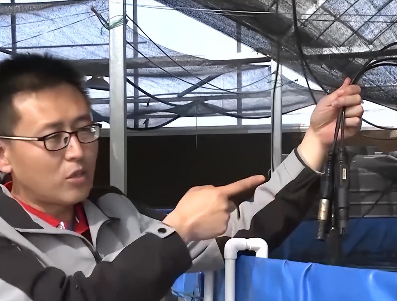 大棚养鱼的好处_蔬菜大棚养鱼_致富经大棚里种菜养鱼