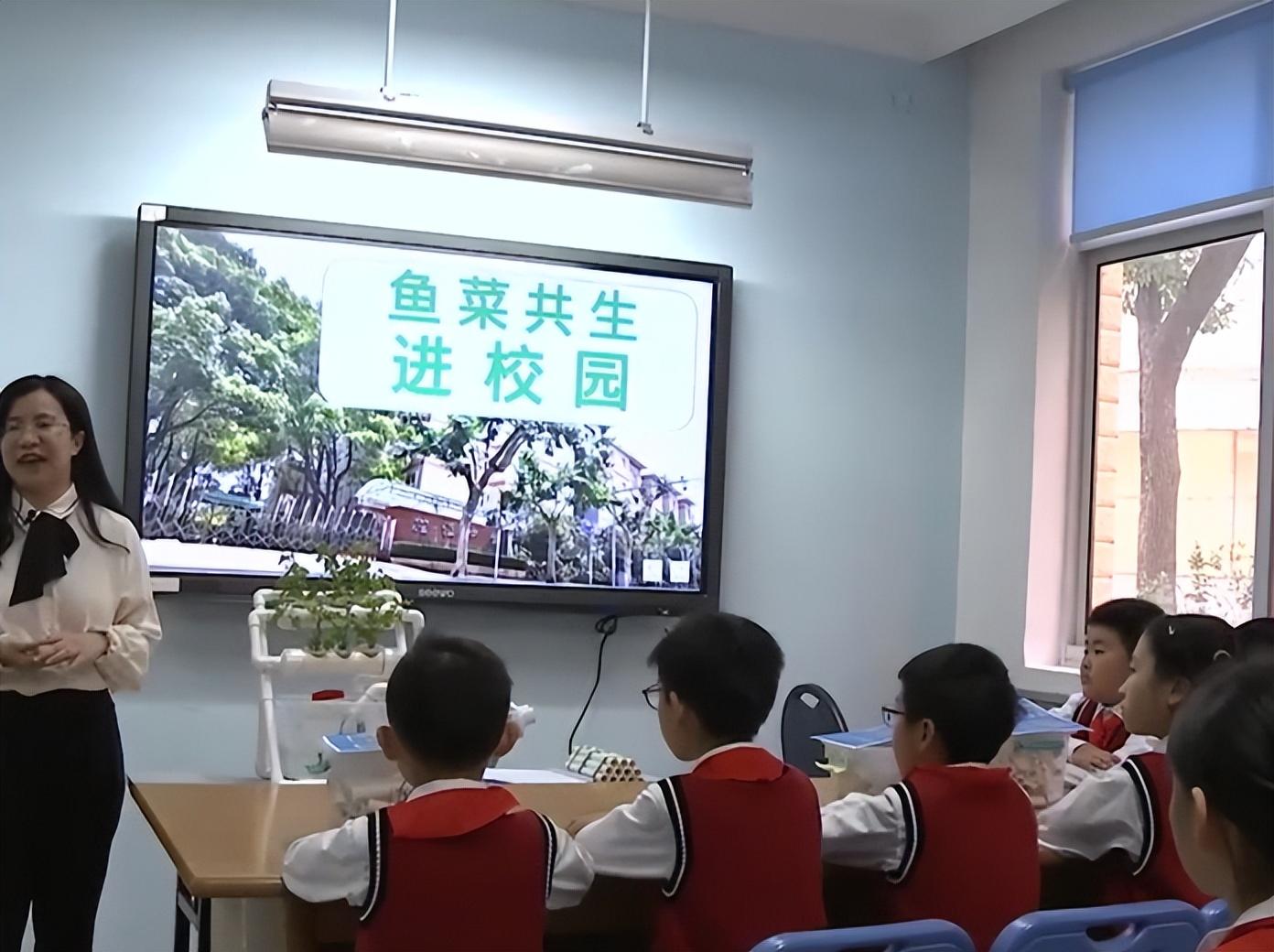 致富经大棚里种菜养鱼_蔬菜大棚养鱼_大棚养鱼的好处