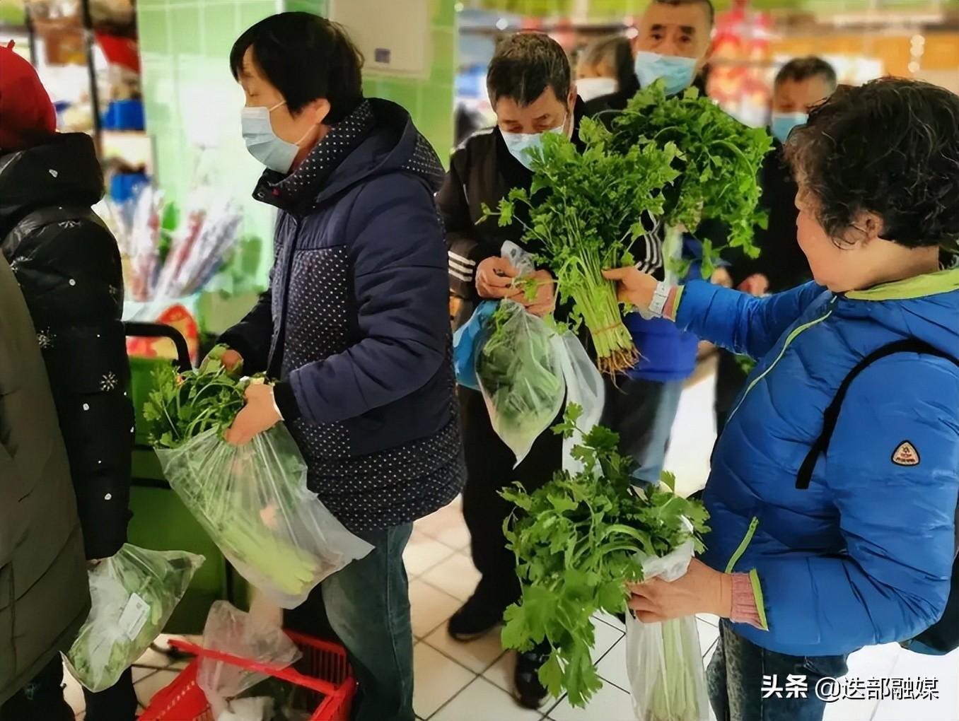 致富经大棚里种菜养鱼_大棚养鱼的好处_蔬菜大棚养鱼