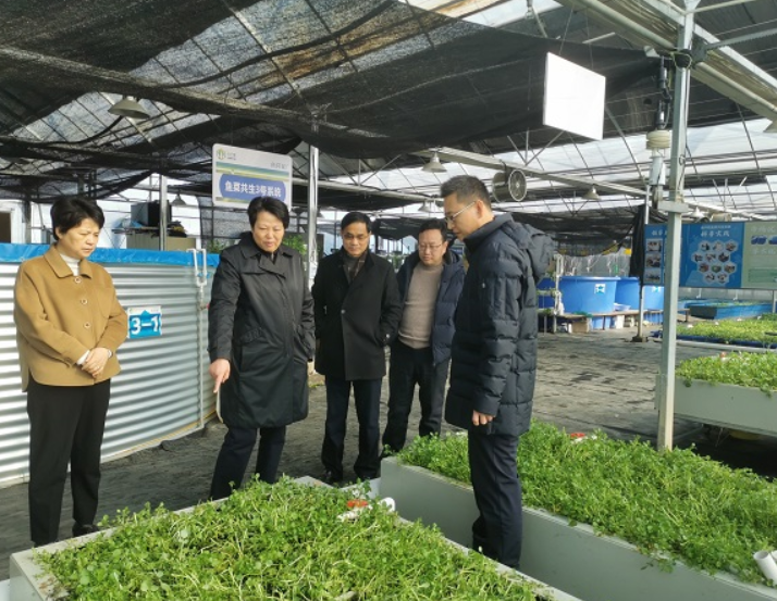 蔬菜大棚养鱼_大棚养鱼的好处_致富经大棚里种菜养鱼