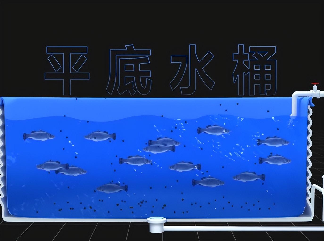 大棚养鱼的好处_蔬菜大棚养鱼_致富经大棚里种菜养鱼