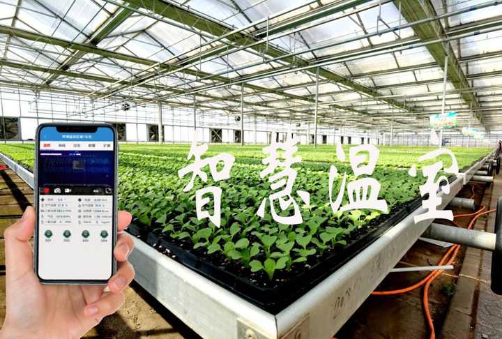 影响温室大棚建设的因素有哪些？
