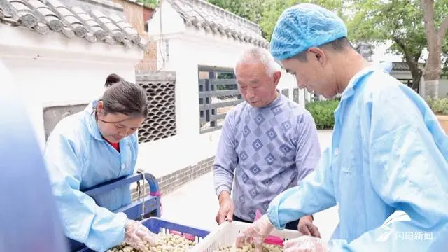 平菇种植利润_夏津县种植平菇致富新闻_如何种植平菇