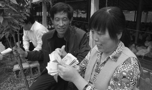 鱼塘养殖鱼鸭混养技术_鱼鸭混养每亩可以赚多少_鸭养殖鱼塘鱼混养技术视频教程