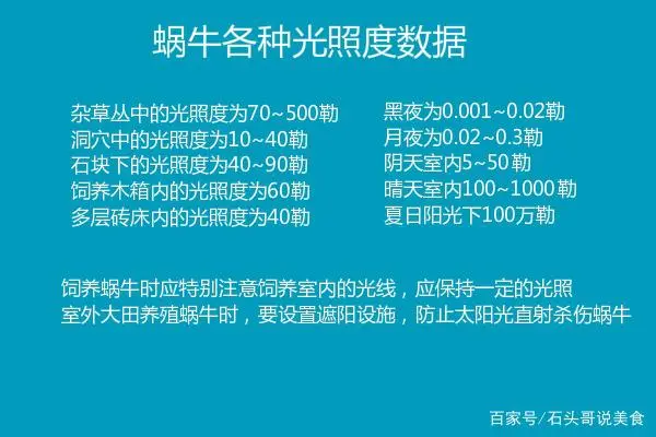 涡牛养殖技术_养涡牛赚钱吗_养殖窝牛前景怎么样