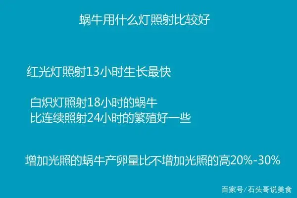 养殖窝牛前景怎么样_涡牛养殖技术_养涡牛赚钱吗