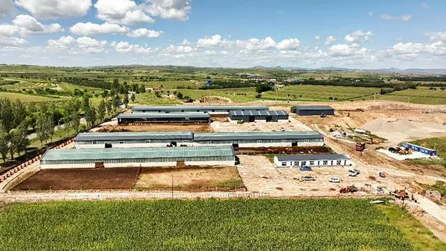 致富养殖牛育肥视频_养牛育肥技术_养殖育肥牛致富