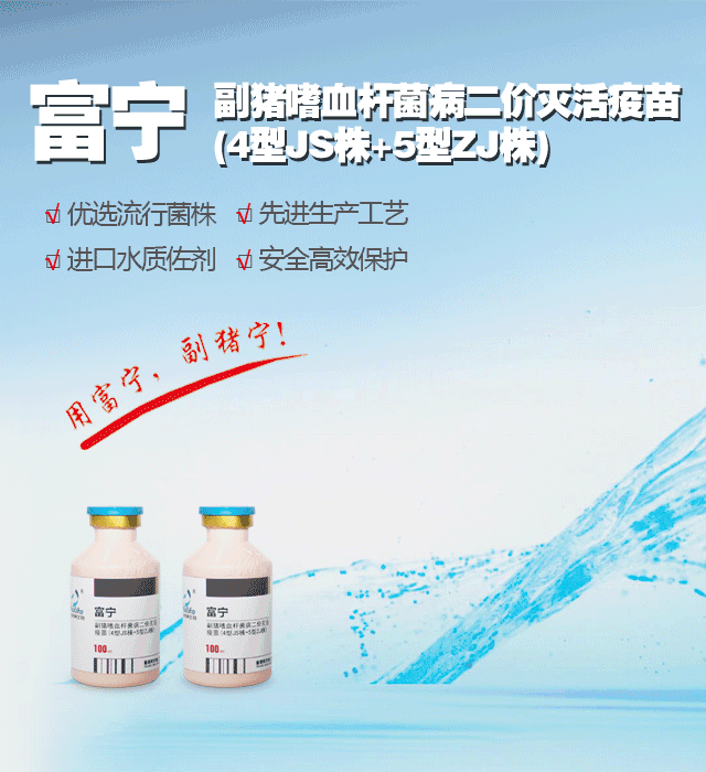 有了这项技术，1个人养2万头猪不是梦想？未来养猪就是这么科幻
