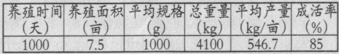 北方池塘健康养殖青鱼技术