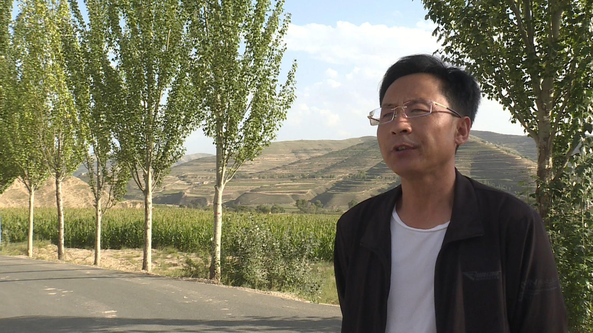 致富经土蜂蜜养殖_土法养蜜蜂致富视频_致富蜂蜜养殖土豆视频