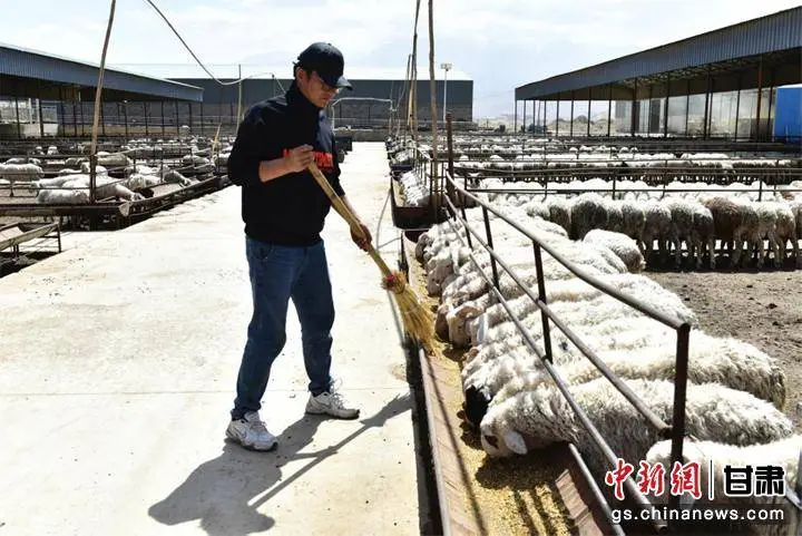 青苔养殖什么样的土壤_青苔养殖致富_青苔在养殖中的作用