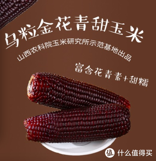 山西黑玉米致富经_山西黑玉米生产厂家_山西黑玉米种植基地
