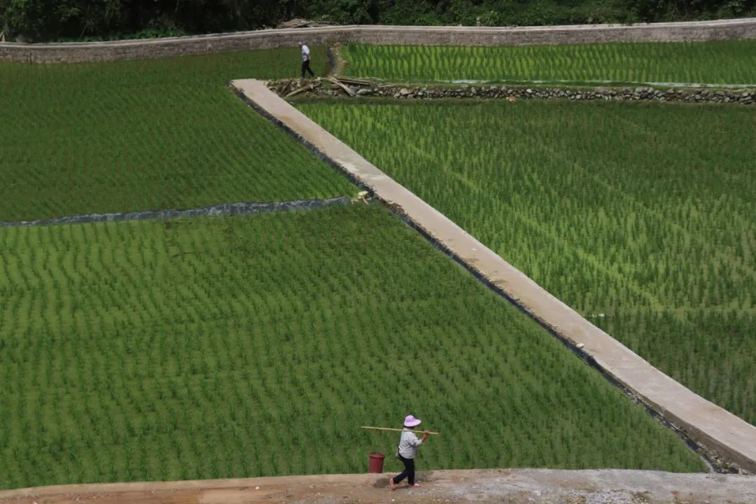 养殖泥鳅挣钱吗_农村养殖泥鳅需要投资多少钱_泥鳅养殖致富项目