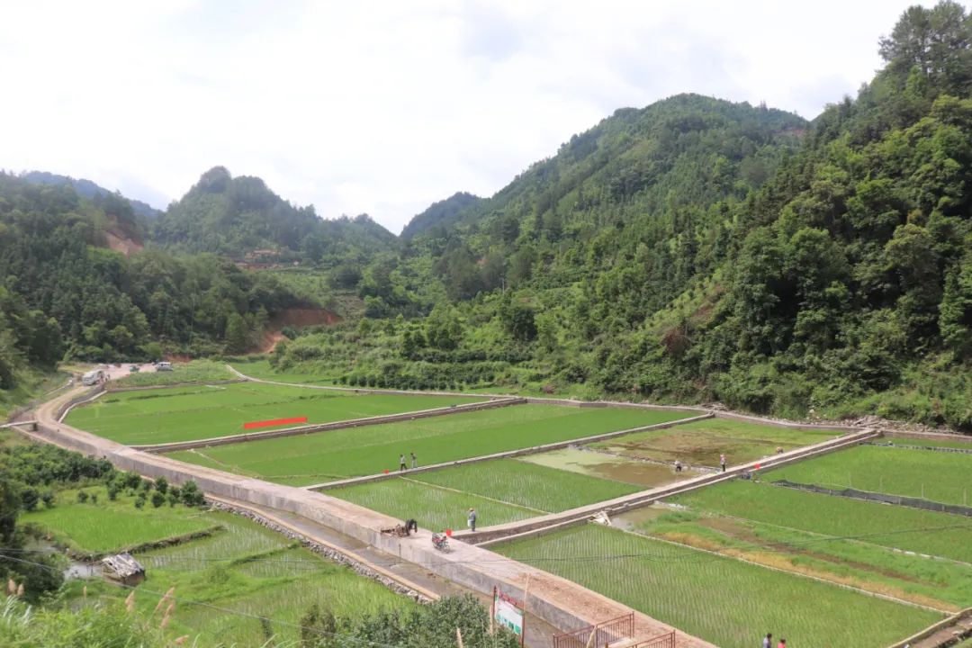 泥鳅养殖致富项目_养殖泥鳅挣钱吗_农村养殖泥鳅需要投资多少钱