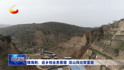 穆海则：返乡创业养黑猪 深山闯出致富路