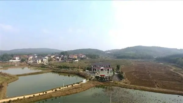 双鸭山养殖_双鸭山养殖场_双鸭山种植致富