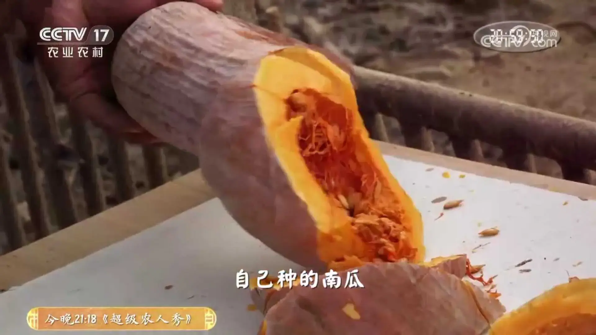 致富经黑猪养殖_黑猪致富经_致富经放养黑猪