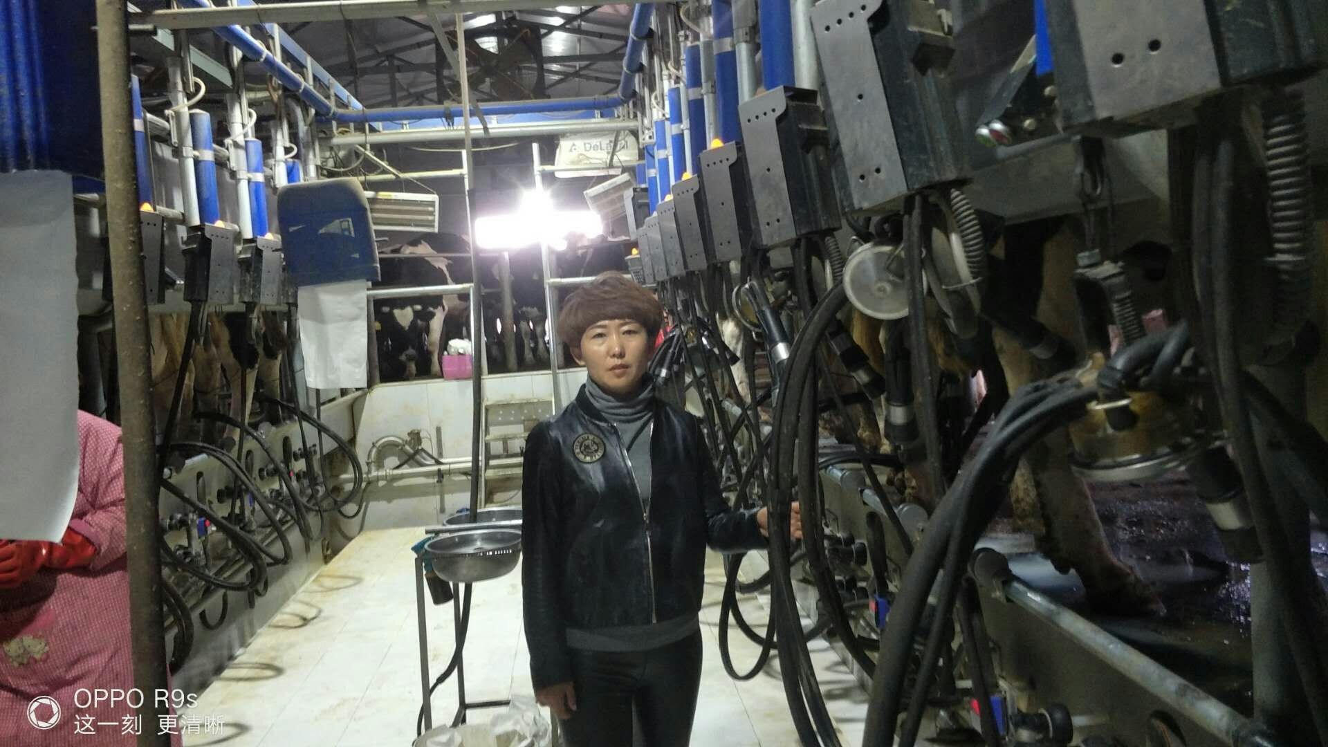 中国妇女第十二次全国代表大会代表张桂贤：从牛倌到“致富女能手”